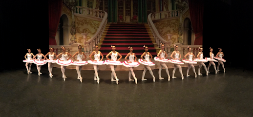 Academy of Arts Inc