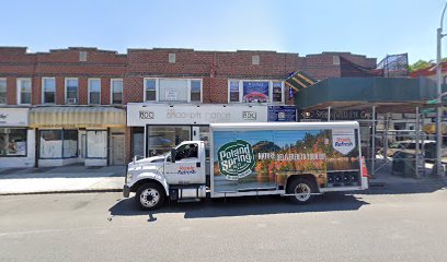 Tropical Image Dancers/ Brooklyn Salsa